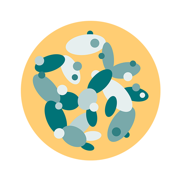 Illustration of saccharomyces cerevisiae