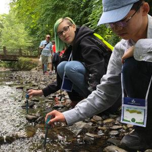 Students from Croatia and Japan use Go Direct sensors in Killarney National Park.