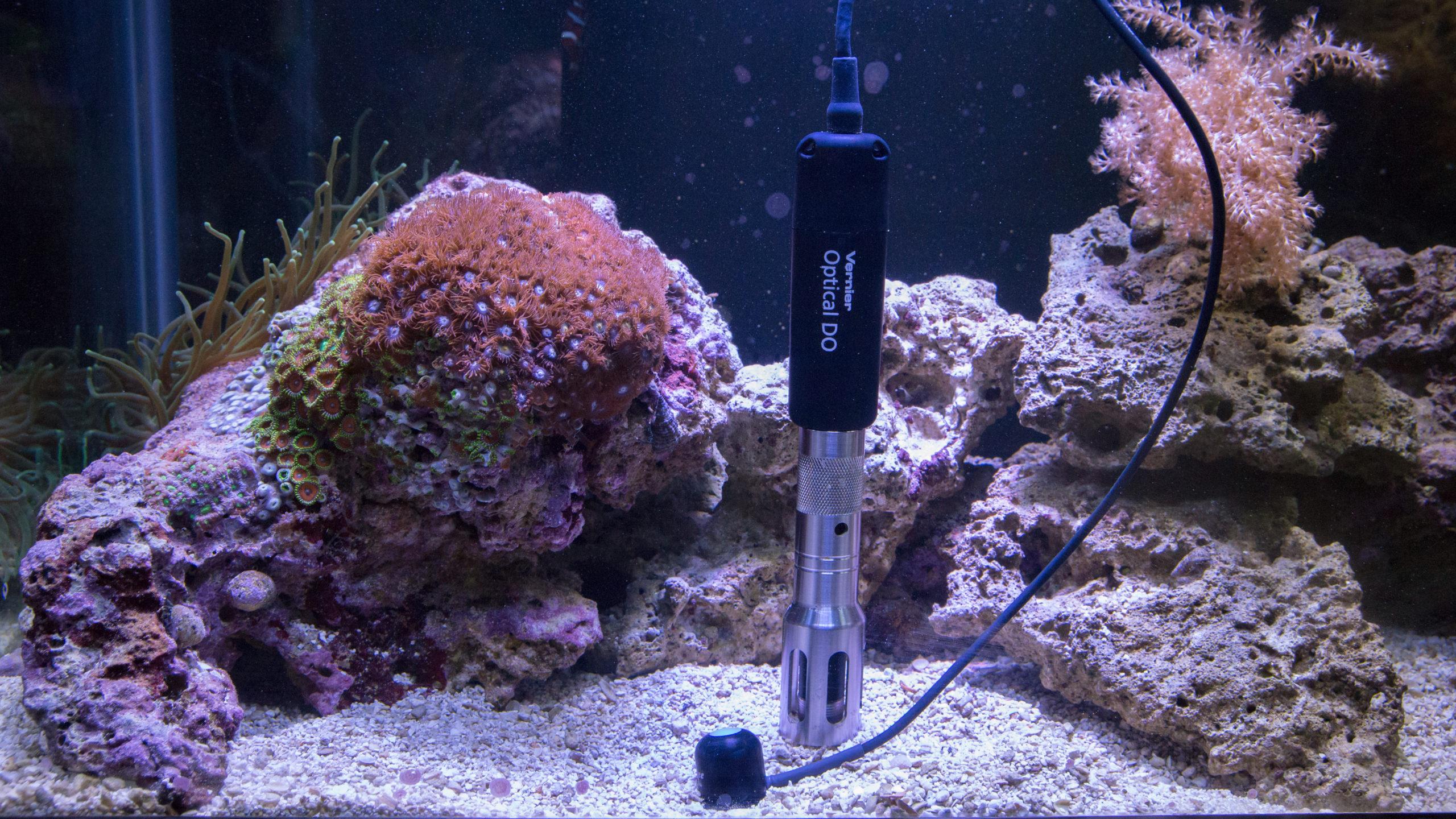 Optical DO Probe Metal Guard - Image 3