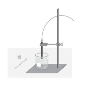 B2.3.6—Surface area-to-volume ratios and constraints on cell size - Vernier