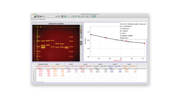 Analysis of precut Labmda DNA