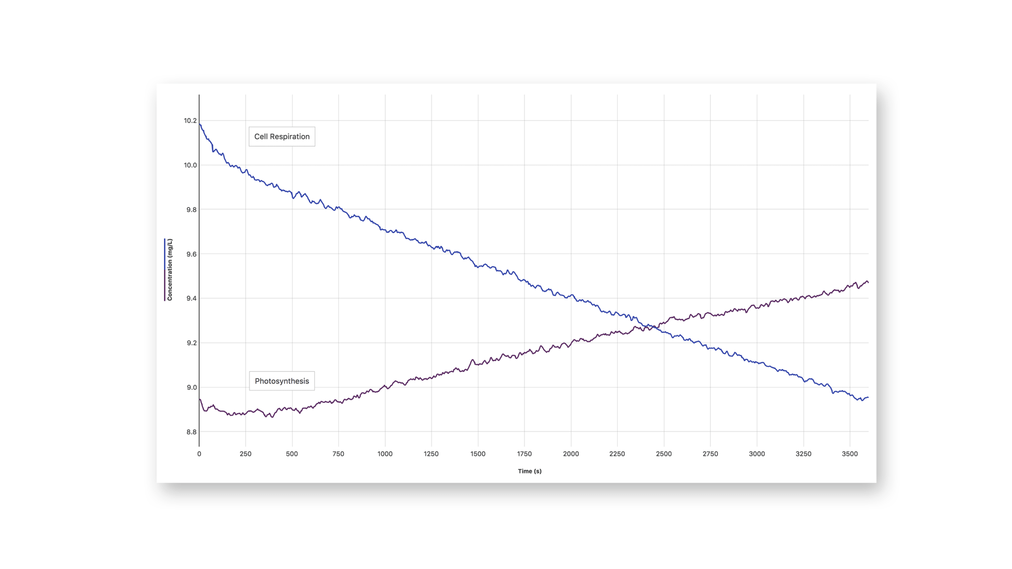 Go Direct® Optical Dissolved Oxygen Probe Vernier