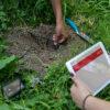 Go Direct Soil Moisture Sensor - Image 2