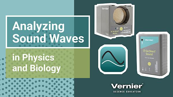 Animal Acoustics: Analyzing Sound Waves in Physics and Biology
