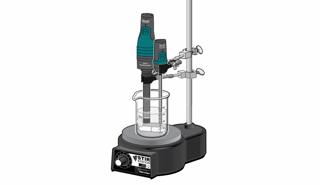 A Go Direct Temperature probe and a Go Direct Dissolved Oxygen probe are suspended by clamps and a stir station in a glass beaker with a solution. The glass beaker also has a magnetic stir bar inside. 