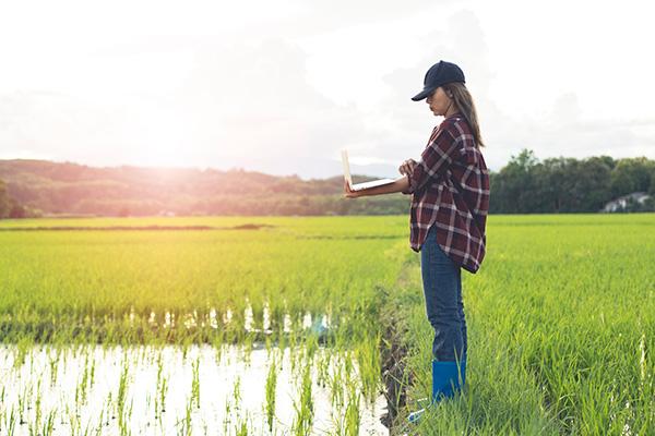 Student holding a laptop observing a flooded crop field