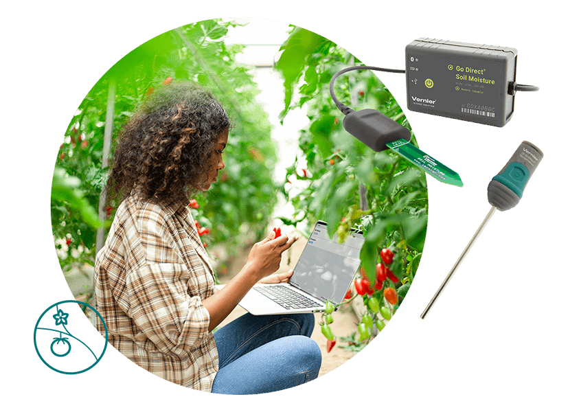Student studies tomato plants while holding a computer displaying soil moisture and temperature data