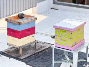 Two bee boxes, brightly painted, sit on the roof of the Vernier building