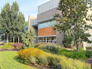 Green grass leading up to a bioswale filled with native plants, some flowering, in front of the Vernier building