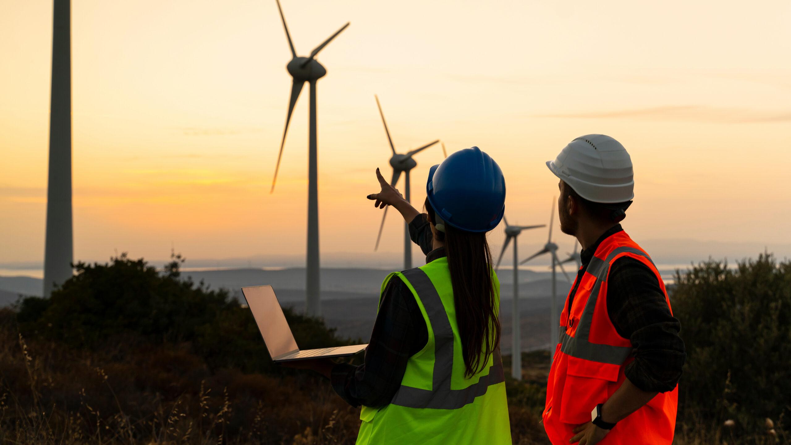 Two engineers point at a row of wind turbines extending into the distance