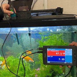 LabQuest 2 and sensors collect data from a freshwater aquarium